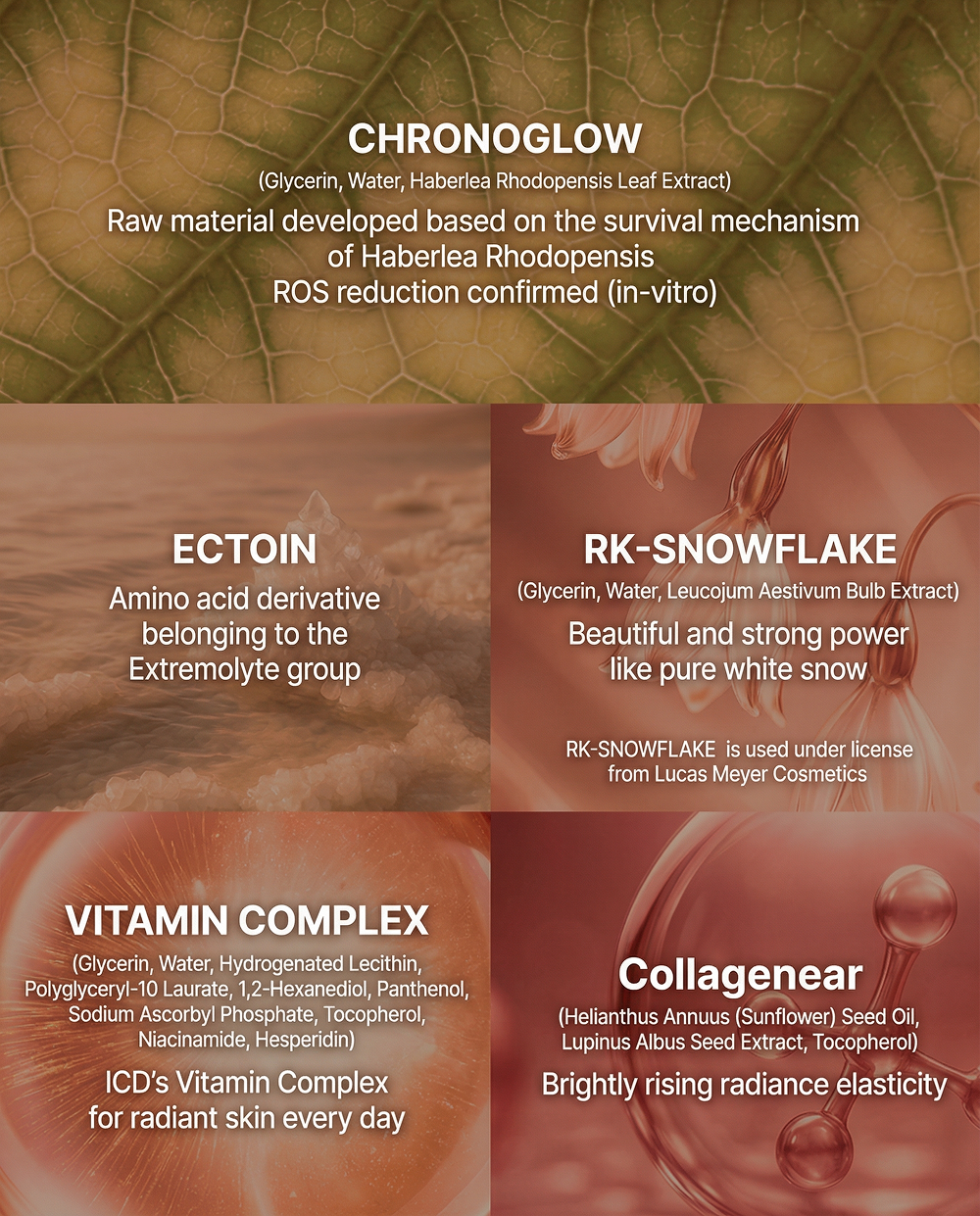 Incellderm Products